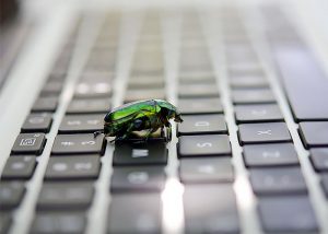 جایزه هک ویندوز 10