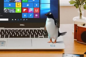 انتقال فایل از ویندوز به لینوکس