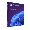 لایسنس ویندوز 11 اینترپرایز Windows 11 Enterprise